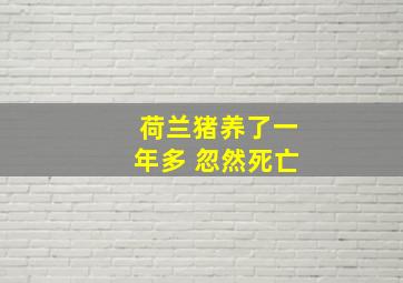 荷兰猪养了一年多 忽然死亡